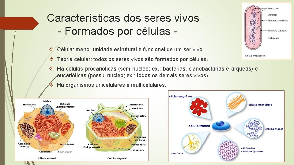 Características dos seres vivos - Formados por células Célula: menor unidade estrutural e funcional
