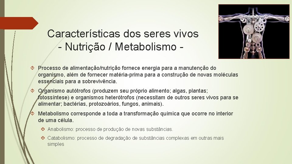 Características dos seres vivos - Nutrição / Metabolismo Processo de alimentação/nutrição fornece energia para
