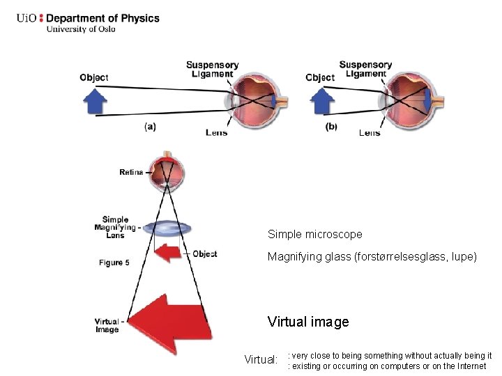 Simple microscope Magnifying glass (forstørrelsesglass, lupe) Virtual image Virtual: : very close to being