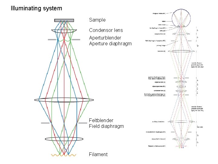 Illuminating system Sample Condensor lens Aperturblender Aperture diaphragm Feltblender Field diaphragm Filament 