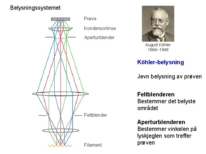 Belysningssystemet Prøve Kondensorlinse Aperturblender August Köhler 1866─1948 Köhler-belysning Jevn belysning av prøven Feltblenderen Bestemmer