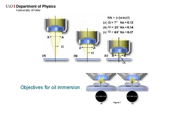 Objectives for oil immersion 