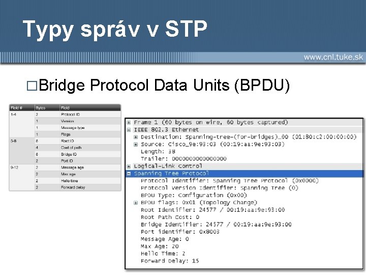 Typy správ v STP �Bridge Protocol Data Units (BPDU) 