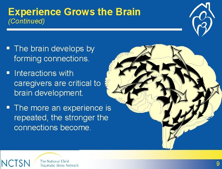 Experience Grows the Brain (Continued) § The brain develops by forming connections. § Interactions