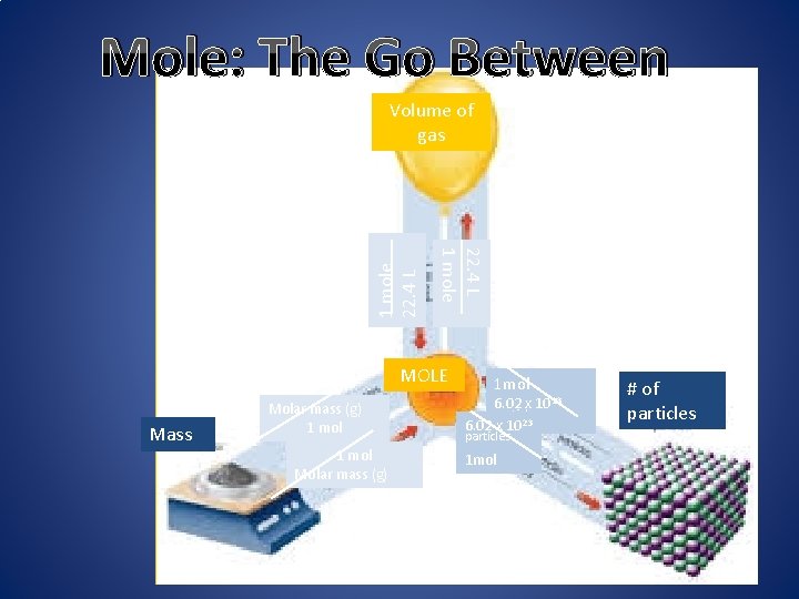 Mole: The Go Between 22. 4 L 1 mole 22. 4 L Volume of