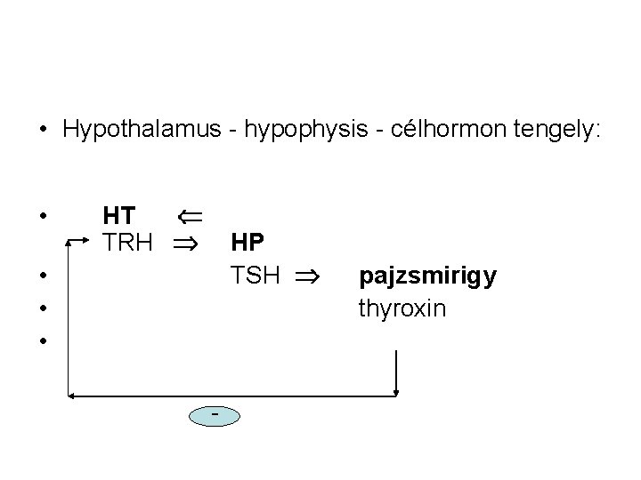  • Hypothalamus - hypophysis - célhormon tengely: • HT TRH HP TSH •