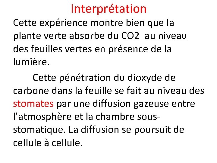 Interprétation Cette expérience montre bien que la plante verte absorbe du CO 2 au