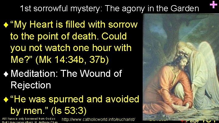1 st sorrowful mystery: The agony in the Garden ¨ “My Heart is filled