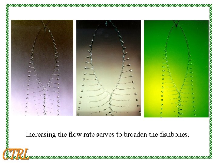 Increasing the flow rate serves to broaden the fishbones. 