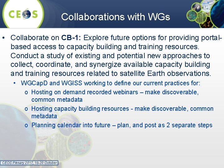 Collaborations with WGs • Collaborate on CB-1: Explore future options for providing portalbased access