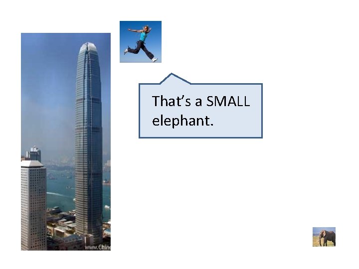 That’s a SMALL elephant. 