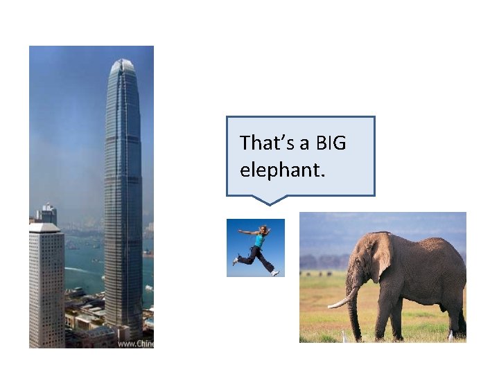 That’s a BIG elephant. 
