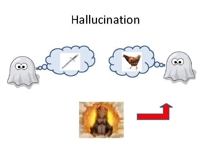 Hallucination 