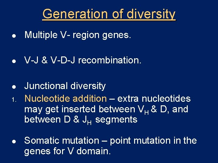 Generation of diversity l Multiple V- region genes. l V-J & V-D-J recombination. l