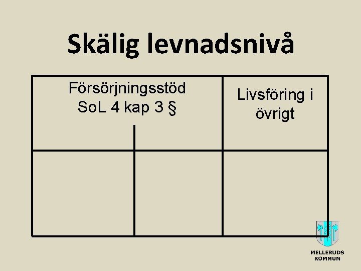 Skälig levnadsnivå Försörjningsstöd So. L 4 kap 3 § Livsföring i övrigt 