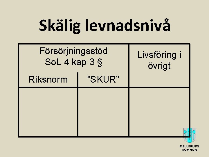 Skälig levnadsnivå Försörjningsstöd So. L 4 kap 3 § Riksnorm ”SKUR” Livsföring i övrigt