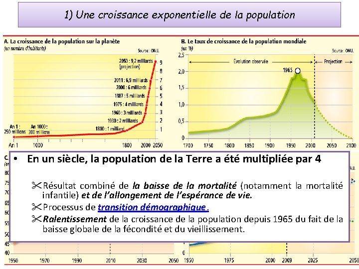 1) Une croissance exponentielle de la population • En un siècle, la population de