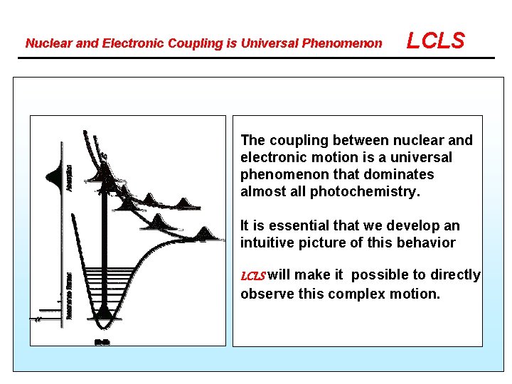 Nuclear and Electronic Coupling is Universal Phenomenon LCLS The coupling between nuclear and electronic