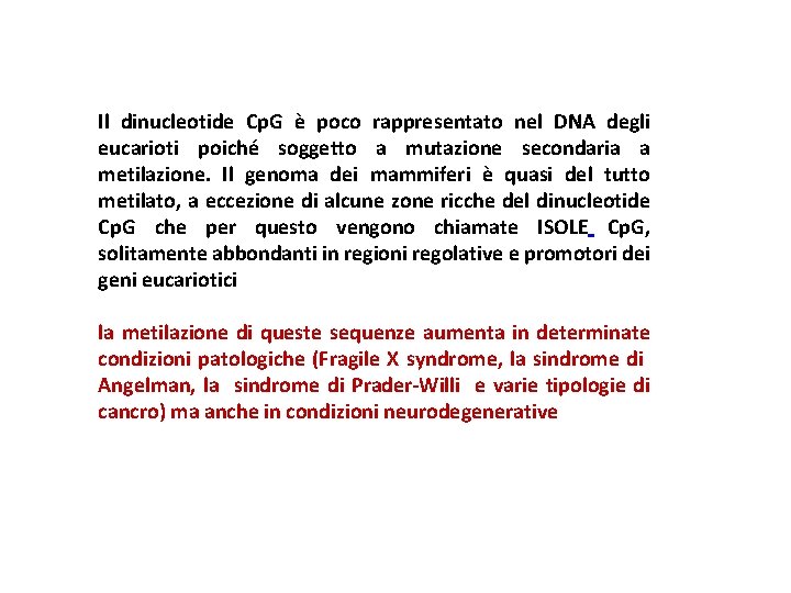 Il dinucleotide Cp. G è poco rappresentato nel DNA degli eucarioti poiché soggetto a