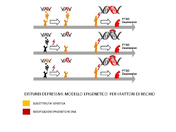 DISTURBI DEPRESSIVI: MODELLO EPIGENETICO PER I FATTORI DI RISCHIO SUSCETTIBILITA’ GENETICA MODIFICAZIONI EPIGENETICHE DNA