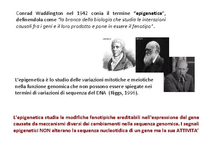 Conrad Waddington nel 1942 conia il termine “epigenetica”, definendola come “la branca della biologia