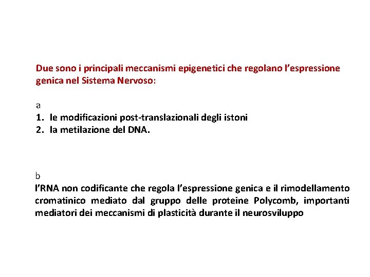 Due sono i principali meccanismi epigenetici che regolano l’espressione genica nel Sistema Nervoso: a