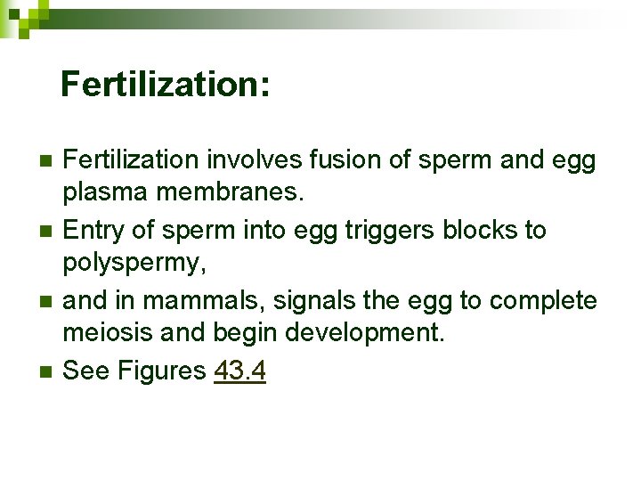 Fertilization: n n Fertilization involves fusion of sperm and egg plasma membranes. Entry of