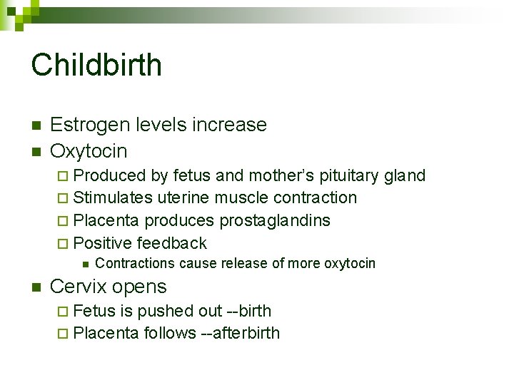 Childbirth n n Estrogen levels increase Oxytocin ¨ Produced by fetus and mother’s pituitary