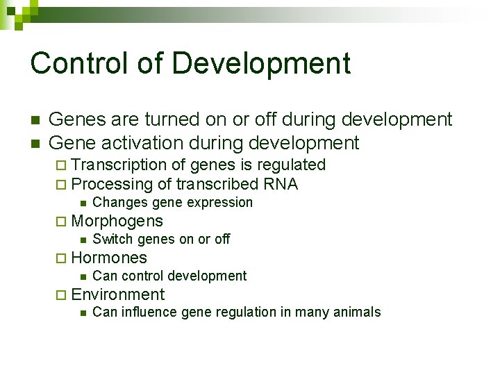 Control of Development n n Genes are turned on or off during development Gene