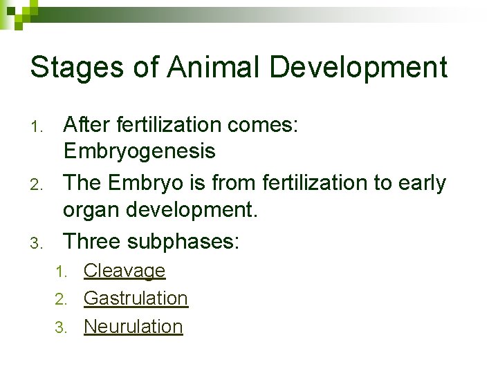 Stages of Animal Development 1. 2. 3. After fertilization comes: Embryogenesis The Embryo is