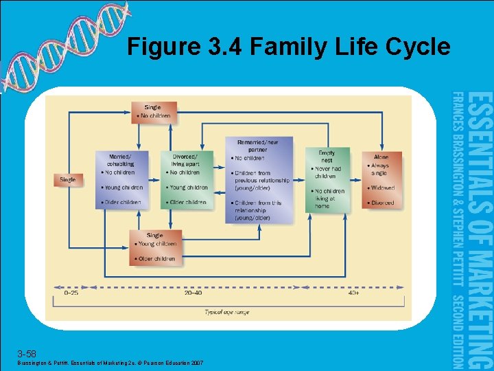 Figure 3. 4 Family Life Cycle 3 -58 Brassington & Pettitt, Essentials of Marketing