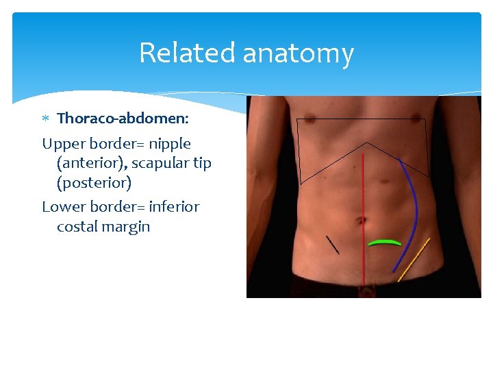 Related anatomy Thoraco-abdomen: Upper border= nipple (anterior), scapular tip (posterior) Lower border= inferior costal