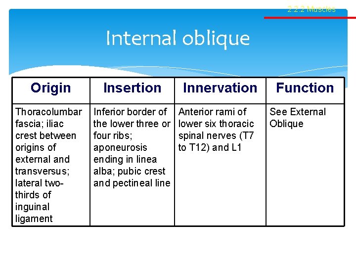 2. 2. 2 Muscles Internal oblique Origin Insertion Thoracolumbar fascia; iliac crest between origins