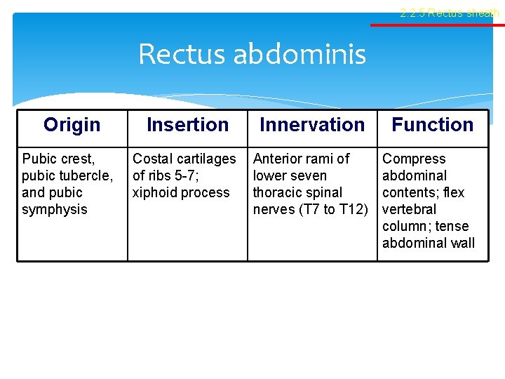 2. 2. 5 Rectus sheath Rectus abdominis Origin Pubic crest, pubic tubercle, and pubic