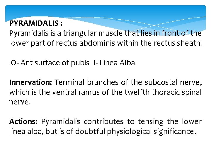 PYRAMIDALIS : Pyramidalis is a triangular muscle that lies in front of the lower