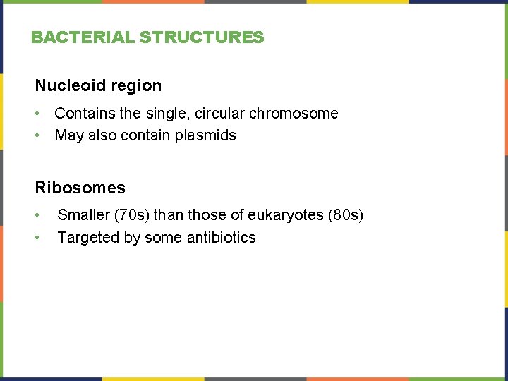 BACTERIAL STRUCTURES Nucleoid region • Contains the single, circular chromosome • May also contain BACTERIAL STRUCTURES Nucleoid region • Contains the single, circular chromosome • May also contain