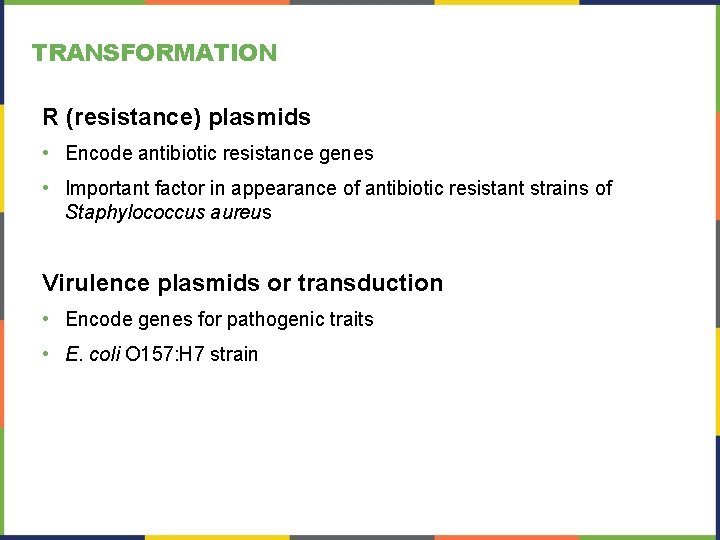 TRANSFORMATION R (resistance) plasmids • Encode antibiotic resistance genes • Important factor in appearance TRANSFORMATION R (resistance) plasmids • Encode antibiotic resistance genes • Important factor in appearance