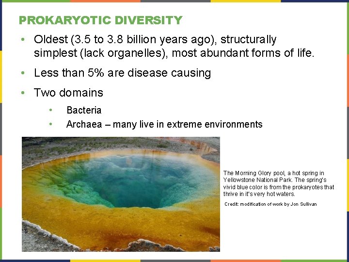 PROKARYOTIC DIVERSITY • Oldest (3. 5 to 3. 8 billion years ago), structurally simplest PROKARYOTIC DIVERSITY • Oldest (3. 5 to 3. 8 billion years ago), structurally simplest