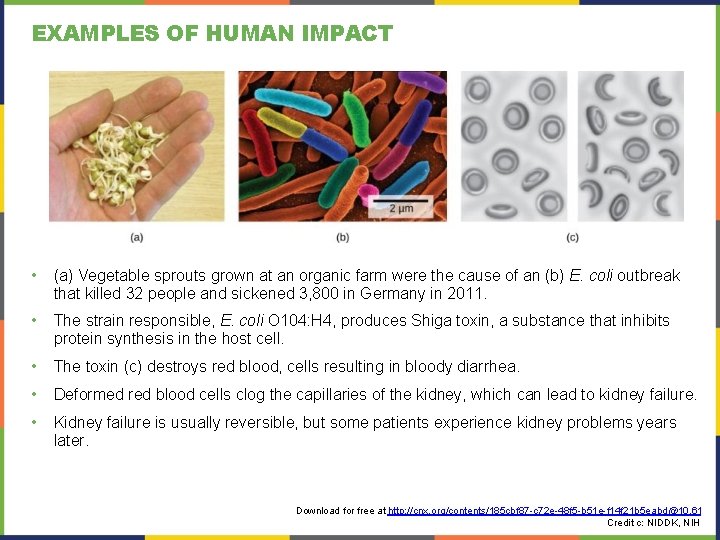 EXAMPLES OF HUMAN IMPACT • (a) Vegetable sprouts grown at an organic farm were EXAMPLES OF HUMAN IMPACT • (a) Vegetable sprouts grown at an organic farm were