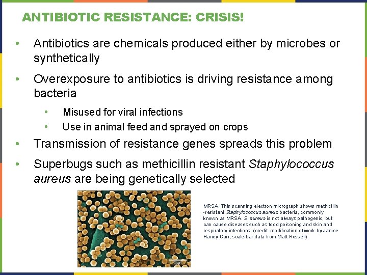 ANTIBIOTIC RESISTANCE: CRISIS! • Antibiotics are chemicals produced either by microbes or synthetically • ANTIBIOTIC RESISTANCE: CRISIS! • Antibiotics are chemicals produced either by microbes or synthetically •