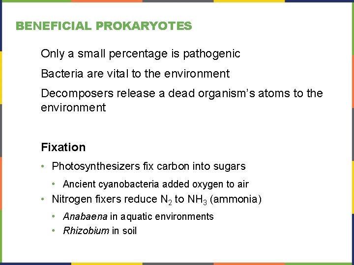 BENEFICIAL PROKARYOTES Only a small percentage is pathogenic Bacteria are vital to the environment BENEFICIAL PROKARYOTES Only a small percentage is pathogenic Bacteria are vital to the environment