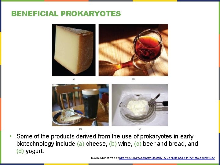 BENEFICIAL PROKARYOTES • Some of the products derived from the use of prokaryotes in BENEFICIAL PROKARYOTES • Some of the products derived from the use of prokaryotes in