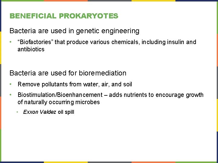 BENEFICIAL PROKARYOTES Bacteria are used in genetic engineering • “Biofactories” that produce various chemicals, BENEFICIAL PROKARYOTES Bacteria are used in genetic engineering • “Biofactories” that produce various chemicals,