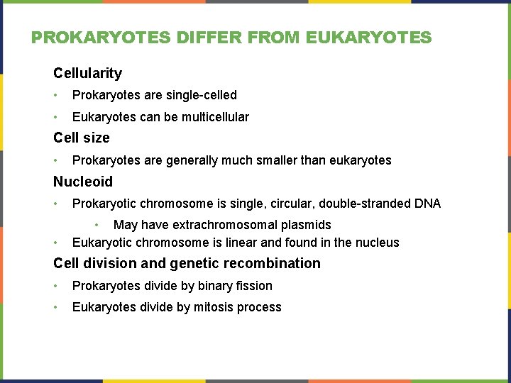 PROKARYOTES DIFFER FROM EUKARYOTES Cellularity • Prokaryotes are single-celled • Eukaryotes can be multicellular PROKARYOTES DIFFER FROM EUKARYOTES Cellularity • Prokaryotes are single-celled • Eukaryotes can be multicellular