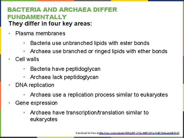 BACTERIA AND ARCHAEA DIFFER FUNDAMENTALLY They differ in four key areas: • Plasma membranes BACTERIA AND ARCHAEA DIFFER FUNDAMENTALLY They differ in four key areas: • Plasma membranes