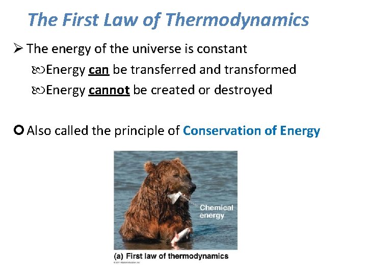 The First Law of Thermodynamics Ø The energy of the universe is constant Energy
