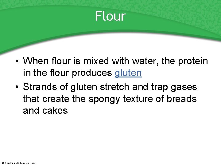 Flour • When flour is mixed with water, the protein in the flour produces