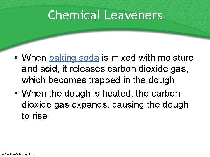 Chemical Leaveners • When baking soda is mixed with moisture and acid, it releases