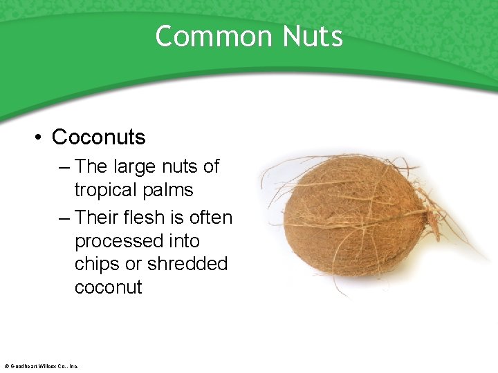 Common Nuts • Coconuts – The large nuts of tropical palms – Their flesh