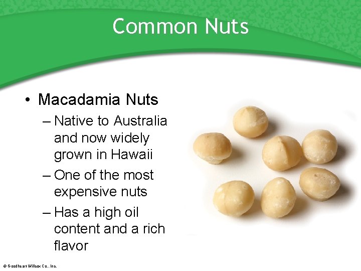Common Nuts • Macadamia Nuts – Native to Australia and now widely grown in